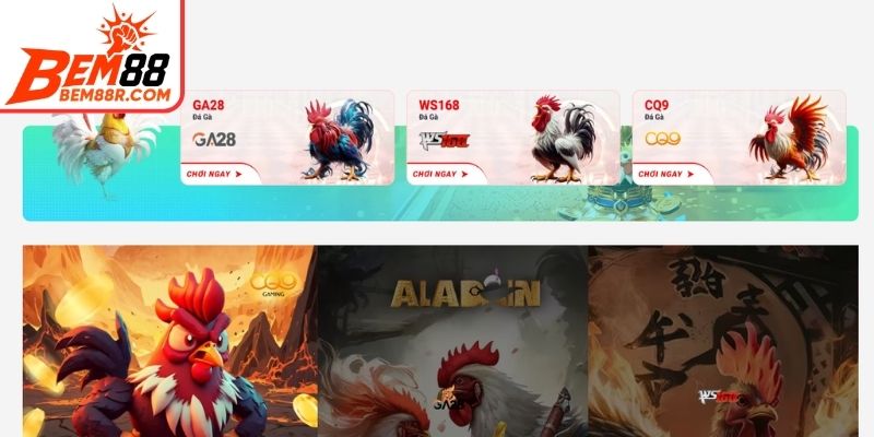 Tổng quan vận hành trong đá gà BEM88