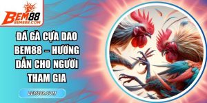 Đá Gà Cựa Dao
