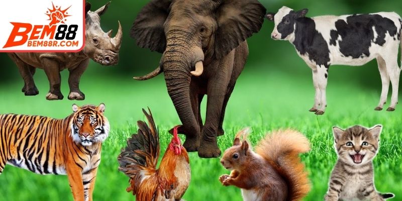 Giải mã giấc mơ về động vật